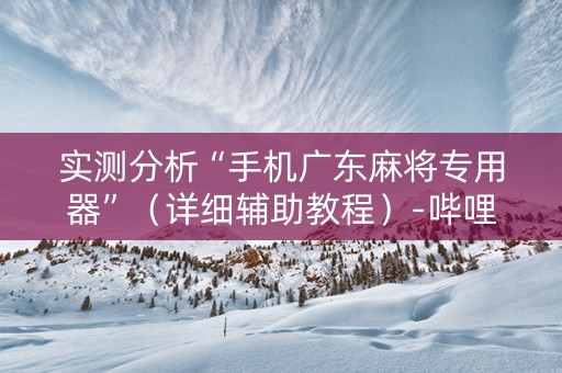 实测分析“手机广东麻将专用器”（详细辅助教程）-哔哩哔哩