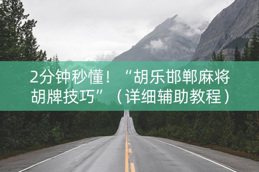 2分钟秒懂！“胡乐邯郸麻将胡牌技巧”（详细辅助教程）-哔哩哔哩