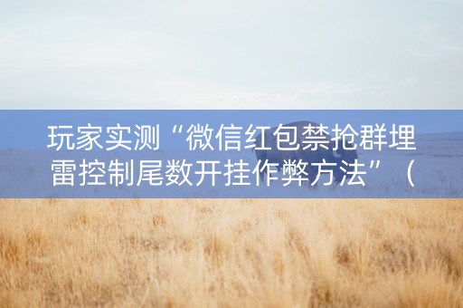 玩家实测“微信红包禁抢群埋雷控制尾数开挂作弊方法”（详细透视教程）-哔哩哔哩
