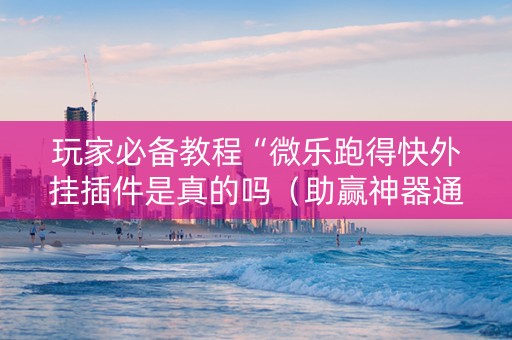 玩家必备教程“微乐跑得快外挂插件是真的吗（助赢神器通用版）