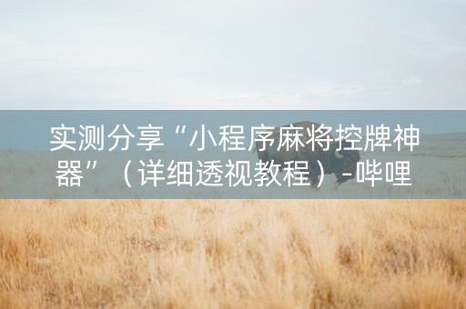实测分享“小程序麻将控牌神器”（详细透视教程）-哔哩哔哩