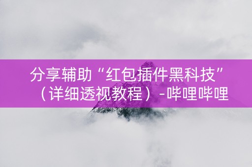分享辅助“红包插件黑科技”（详细透视教程）-哔哩哔哩