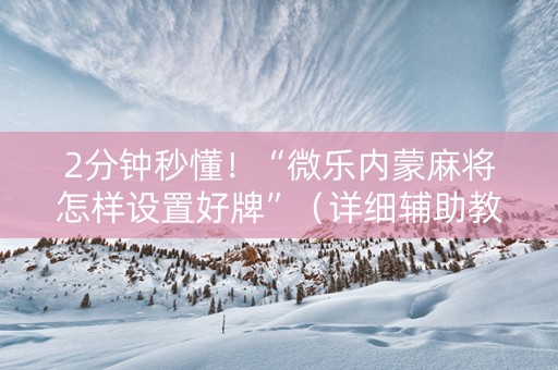 2分钟秒懂！“微乐内蒙麻将怎样设置好牌”（详细辅助教程）-哔哩哔哩