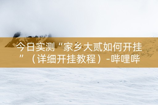 今日实测“家乡大贰如何开挂”（详细开挂教程）-哔哩哔哩