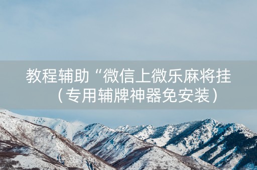 教程辅助“微信上微乐麻将挂（专用辅牌神器免安装）