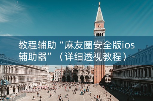 教程辅助“麻友圈安全版ios辅助器”（详细透视教程）-哔哩哔哩