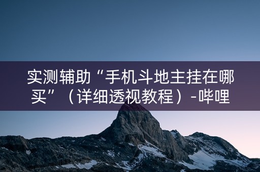 实测辅助“手机斗地主挂在哪买”（详细透视教程）-哔哩哔哩