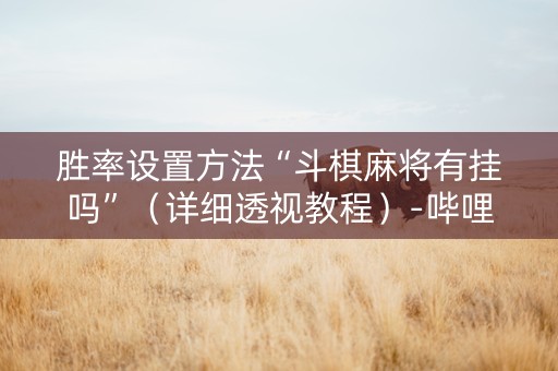 胜率设置方法“斗棋麻将有挂吗”（详细透视教程）-哔哩哔哩