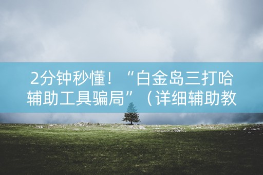 2分钟秒懂！“白金岛三打哈辅助工具骗局”（详细辅助教程）-哔哩哔哩