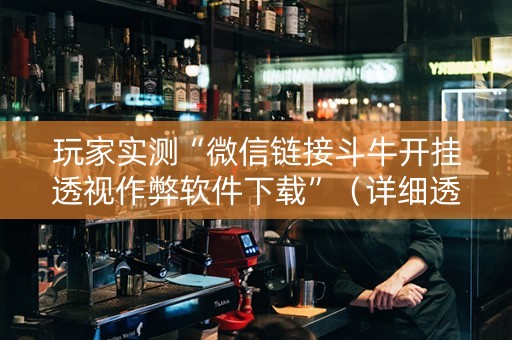 玩家实测“微信链接斗牛开挂透视作弊软件下载”（详细透视教程）-哔哩哔哩