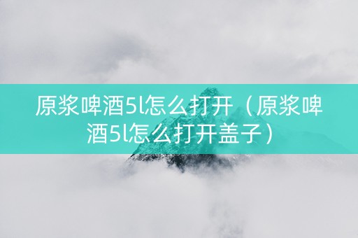 原浆啤酒5l怎么打开（原浆啤酒5l怎么打开盖子）