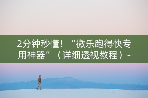 2分钟秒懂！“微乐跑得快专用神器”（详细透视教程）-哔哩哔哩
