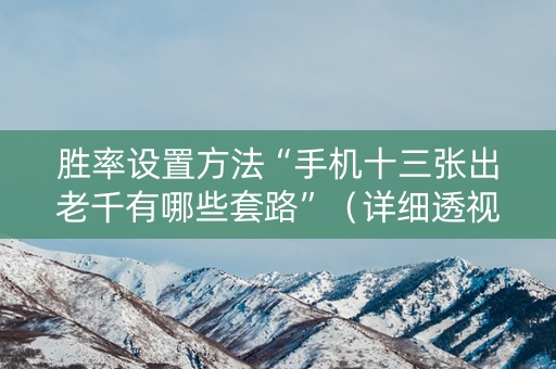 胜率设置方法“手机十三张出老千有哪些套路”（详细透视教程）-哔哩哔哩