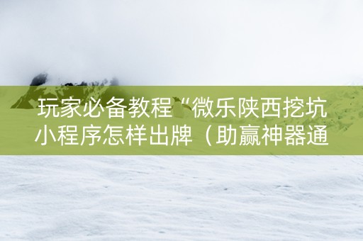 玩家必备教程“微乐陕西挖坑小程序怎样出牌（助赢神器通用版）