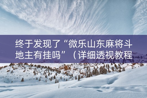 终于发现了“微乐山东麻将斗地主有挂吗”（详细透视教程）-哔哩哔哩