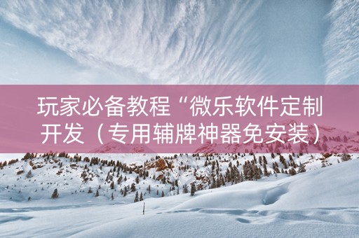 玩家必备教程“微乐软件定制开发（专用辅牌神器免安装）