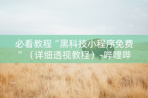必看教程“黑科技小程序免费”（详细透视教程）-哔哩哔哩