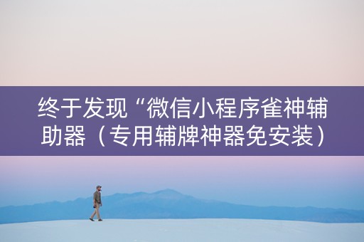 终于发现“微信小程序雀神辅助器（专用辅牌神器免安装）