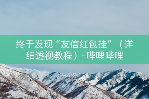 终于发现“友信红包挂”（详细透视教程）-哔哩哔哩
