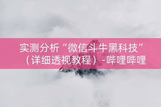 实测分析“微信斗牛黑科技”（详细透视教程）-哔哩哔哩