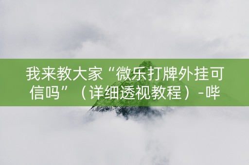 我来教大家“微乐打牌外挂可信吗”（详细透视教程）-哔哩哔哩