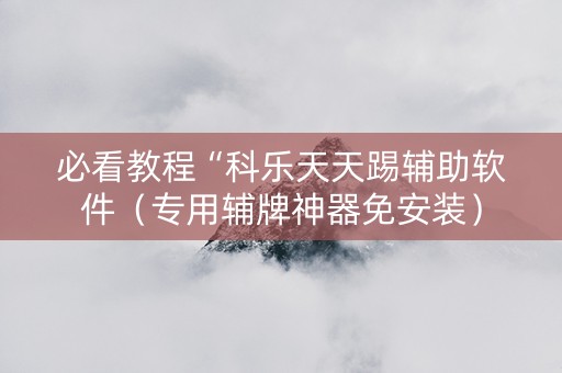 必看教程“科乐天天踢辅助软件（专用辅牌神器免安装）
