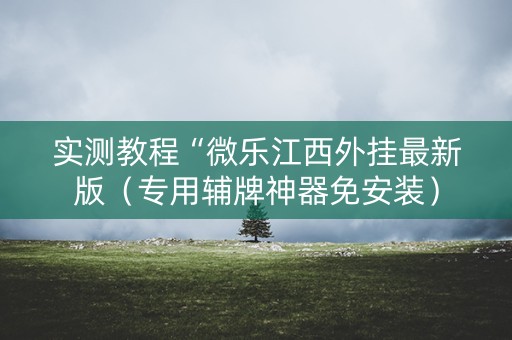 实测教程“微乐江西外挂最新版（专用辅牌神器免安装）
