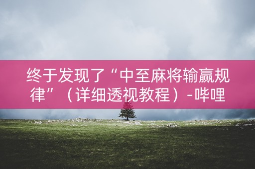 终于发现了“中至麻将输赢规律”（详细透视教程）-哔哩哔哩