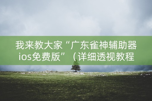 我来教大家“广东雀神辅助器ios免费版”（详细透视教程）-哔哩哔哩