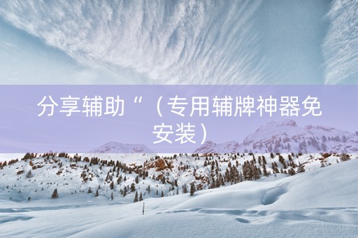 分享辅助“（专用辅牌神器免安装）