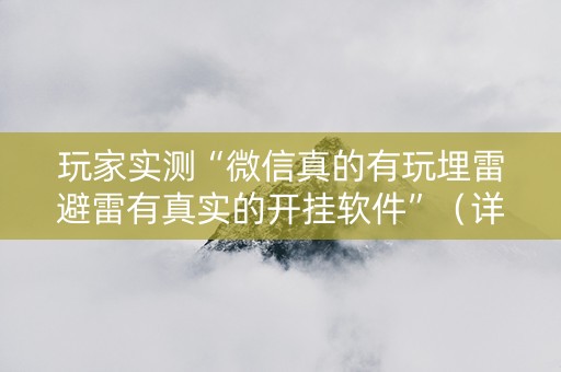 玩家实测“微信真的有玩埋雷避雷有真实的开挂软件”（详细透视教程）-哔哩哔哩