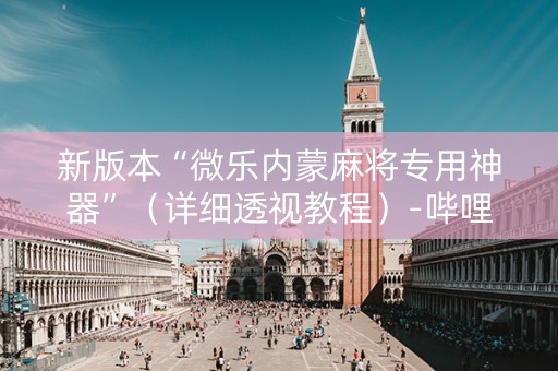 新版本“微乐内蒙麻将专用神器”（详细透视教程）-哔哩哔哩