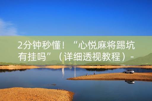 2分钟秒懂！“心悦麻将踢坑有挂吗”（详细透视教程）-哔哩哔哩
