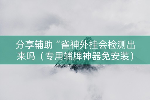 分享辅助“雀神外挂会检测出来吗（专用辅牌神器免安装）