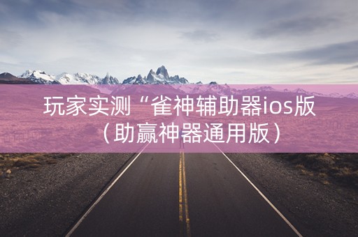 玩家实测“雀神辅助器ios版（助赢神器通用版）