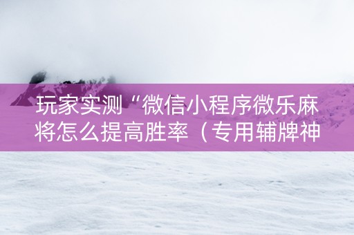 玩家实测“微信小程序微乐麻将怎么提高胜率（专用辅牌神器免安装）