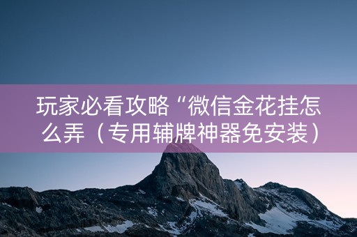 玩家必看攻略“微信金花挂怎么弄（专用辅牌神器免安装）