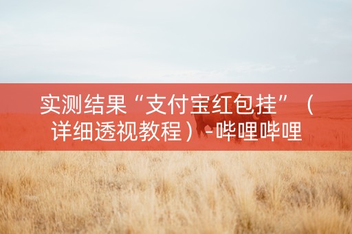 实测结果“支付宝红包挂”（详细透视教程）-哔哩哔哩
