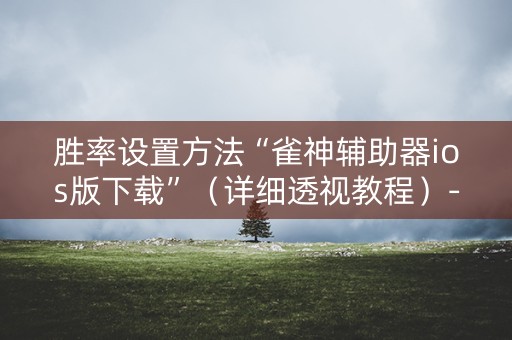 胜率设置方法“雀神辅助器ios版下载”（详细透视教程）-哔哩哔哩