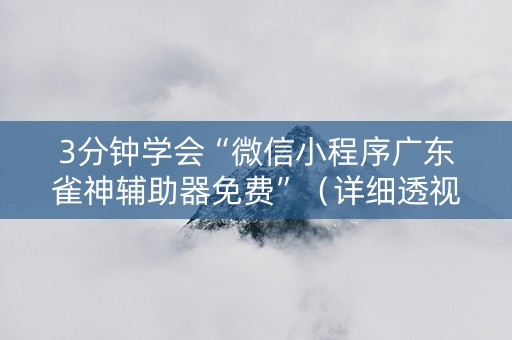 3分钟学会“微信小程序广东雀神辅助器免费”（详细透视教程）-哔哩哔哩