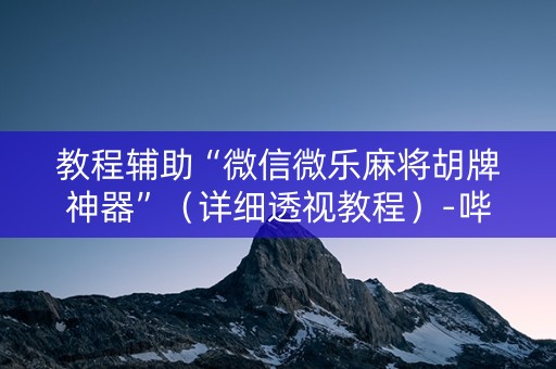 教程辅助“微信微乐麻将胡牌神器”（详细透视教程）-哔哩哔哩
