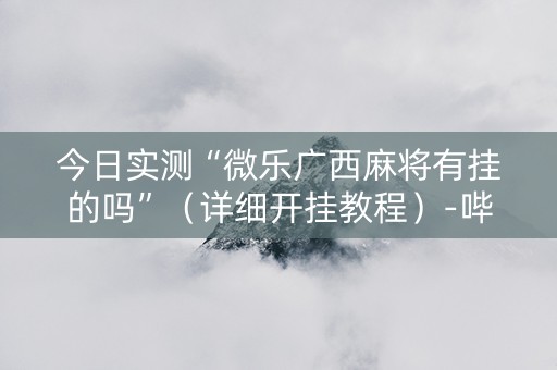 今日实测“微乐广西麻将有挂的吗”（详细开挂教程）-哔哩哔哩
