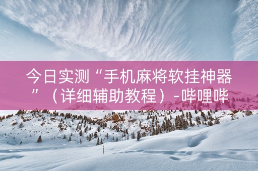 今日实测“手机麻将软挂神器”（详细辅助教程）-哔哩哔哩
