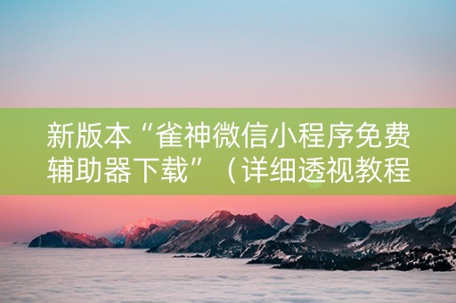 新版本“雀神微信小程序免费辅助器下载”（详细透视教程）-哔哩哔哩