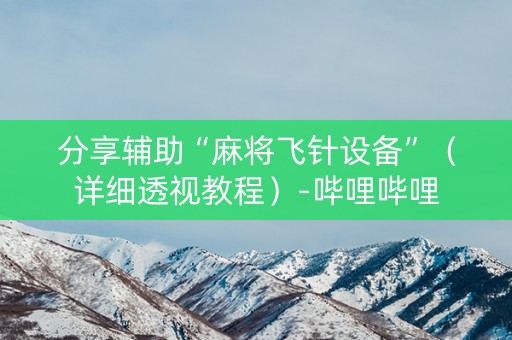 分享辅助“麻将飞针设备”（详细透视教程）-哔哩哔哩