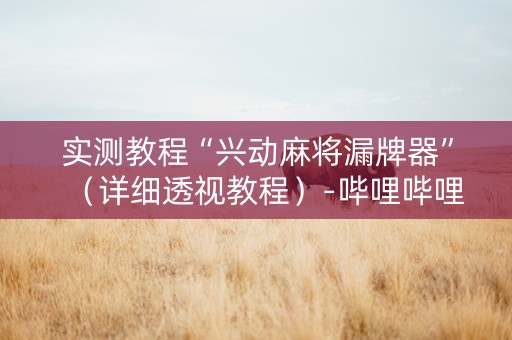 实测教程“兴动麻将漏牌器”（详细透视教程）-哔哩哔哩