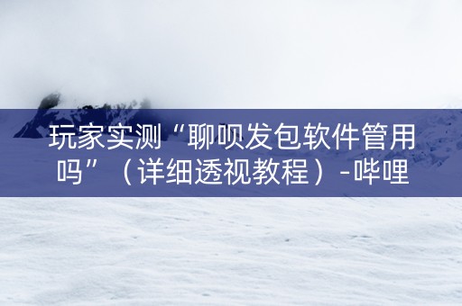 玩家实测“聊呗发包软件管用吗”（详细透视教程）-哔哩哔哩