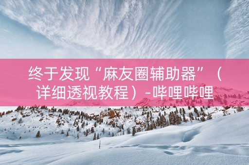 终于发现“麻友圈辅助器”（详细透视教程）-哔哩哔哩