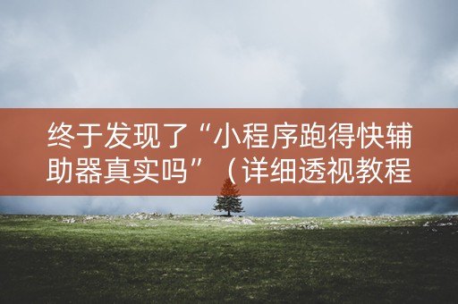 终于发现了“小程序跑得快辅助器真实吗”（详细透视教程）-哔哩哔哩