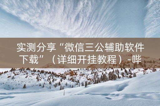 实测分享“微信三公辅助软件下载”（详细开挂教程）-哔哩哔哩